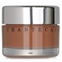 Chantecaille Future Skin Oil Free Gel Foundation - Suntan 30g/1oz