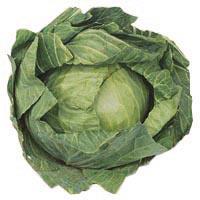 Fresh Produce Cabbage Whole each
