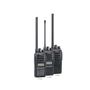 Icom IC-F2100D