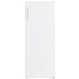 Vogue ICELAND Upright Fridge 246L 355246