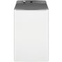 Fisher & Paykel WL1064G1