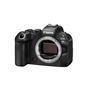 Canon EOS R6 Mark III