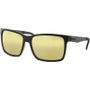 Carve The Island Blk Revo Sunglasses