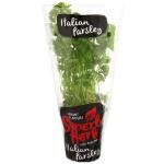 Superb Herb Parsley Italian Living Plant each