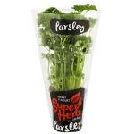 Superb Herb Parsley Living Plant each