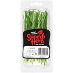 Superb Herb Chives Fresh packet 15g