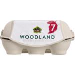 Woodland Eggs Half Dozen Free Range Size 7 6pk