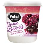 Puhoi Valley Yoghurt Tub Divine Berries 200g