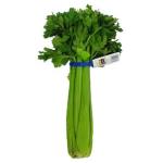 Fresh Produce Celery Whole Bunch each