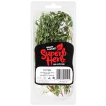 Superb Herb Thyme Fresh packet 12g