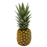 Produce Pineapple Whole each