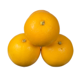 Fresh Produce Navel Oranges 1kg