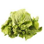 Produce Fresh Cut lettuce 1ea