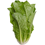 Produce Cos Lettuce 1ea
