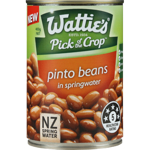 Wattie's Pinto Beans In Springwater 400g