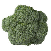 Produce Broccoli 1ea