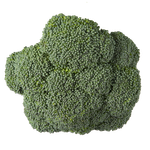 Produce Broccoli 1ea