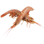 Seafood Argentinian Whole Raw Red Prawns (Frozen) 1kg
