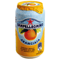 SAN Pellegrino Arancianta Sparkling Orange Drink 330ml