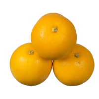 Produce Medium Navel Oranges 1kg