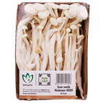 Produce Snow Needle Mushrooms 100g