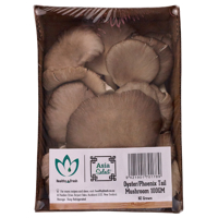 Produce Oyster Mushrooms 100g
