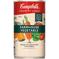 Campbells Soup Country Ladle Vegetable 495g