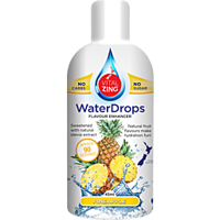 Vitalzing Water Drop Pineapple 45ml