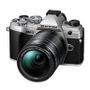 OM System OM-5 Mark II + 14-150 F4-5.6