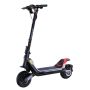 Segway Ninebot P100S