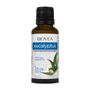BIOVEA EUCALYPTUS ESSENTIAL OIL (1 fl. oz) 30ml