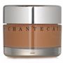 Chantecaille Future Skin Oil Free Gel Foundation - Banana 30g/1oz