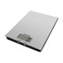 Salter Ultra Slim Glass 1170