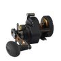 Penn Fathom II 8XN Star Drag Reel