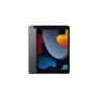 iPad 9th 10.2in 5G 256GB (2021)
