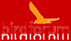 birdforum.net