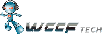 WCCFtech