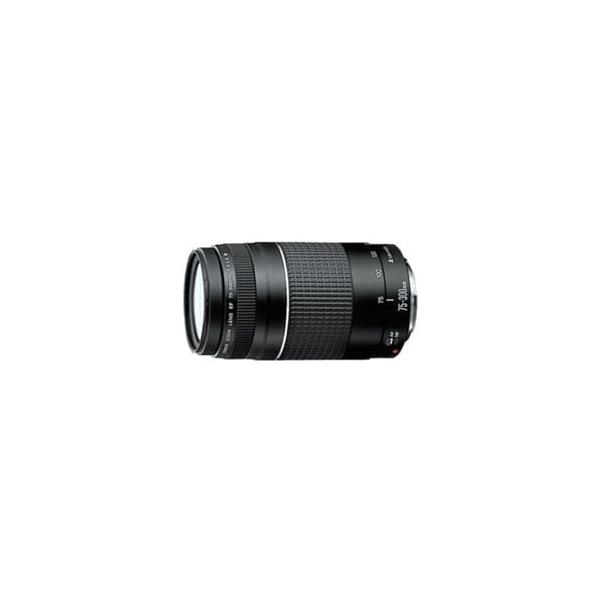 Canon Ef 75 300mm F4 5 6 Iii Usm Price In Philippines Priceme