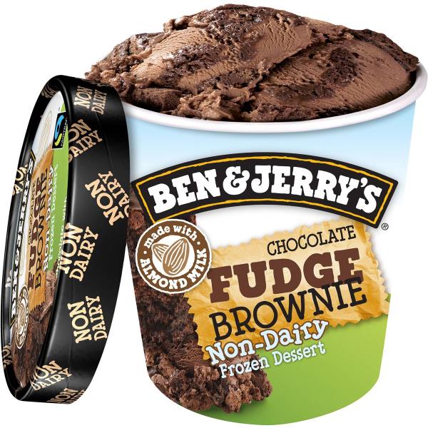 Ben & Jerry's Chocolate Fudge Brownie Non-Dairy Frozen Dessert 458ml
