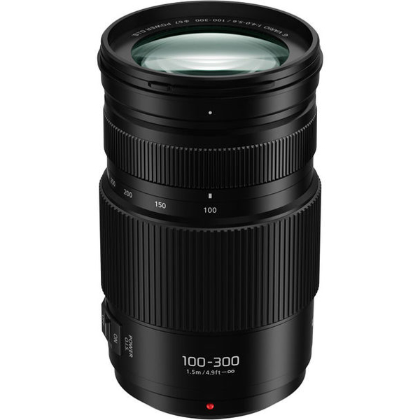 Panasonic Lumix G Vario 100-300mm F4-5.6 II Power OIS Price in