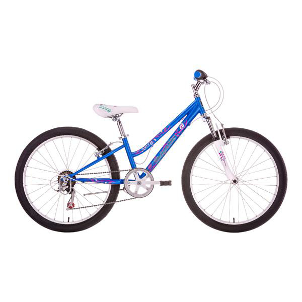 malvern star mountain bike price