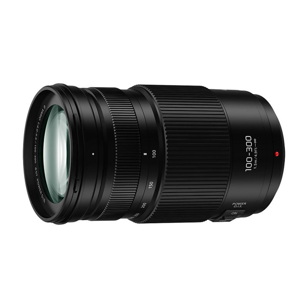 Panasonic Lumix G Vario 100-300mm F4-5.6 II Power OIS Price in