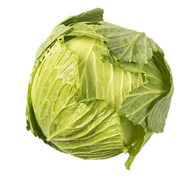 Produce Green Cabbage 1ea