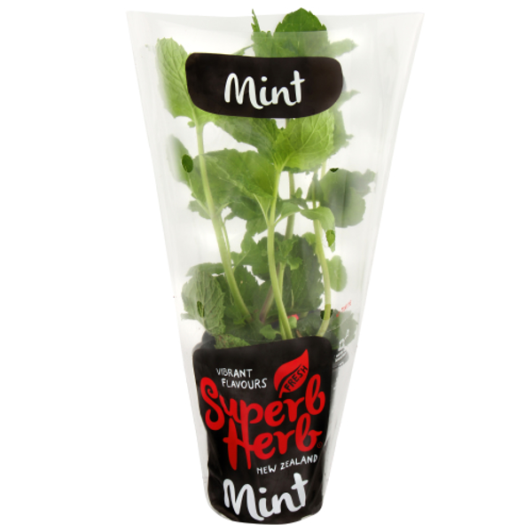 Superb Herb Mint Herb Pot 1ea