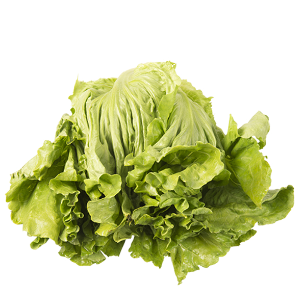 Produce Fresh Cut lettuce 1ea