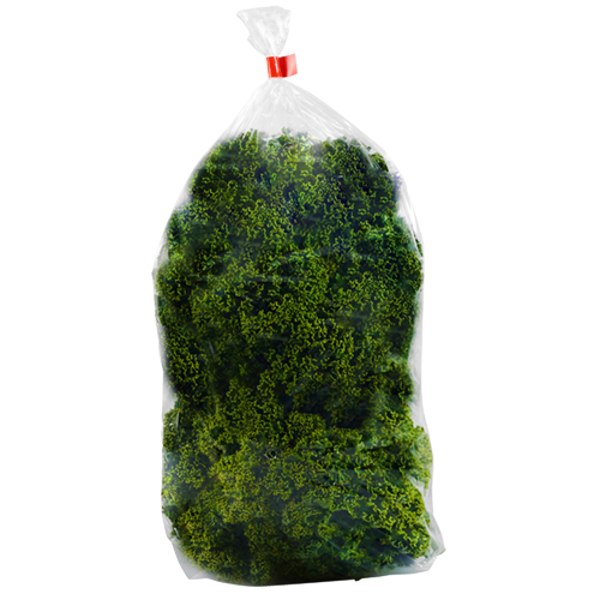 Produce Green Curly Kale 100g