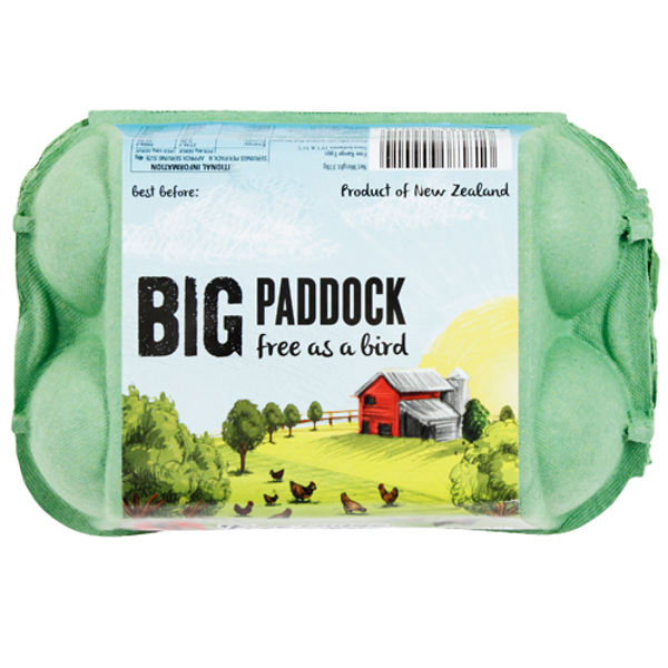 Big Paddock Free Range Eggs 6ea
