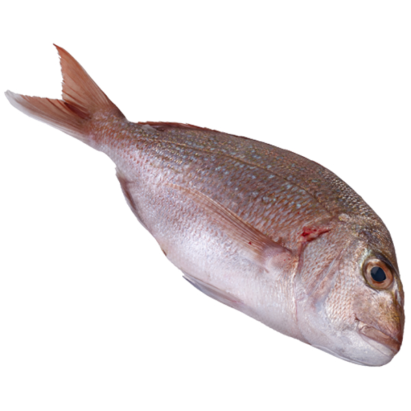 Lee Fish Premium Whole Snapper Prices - FoodMe