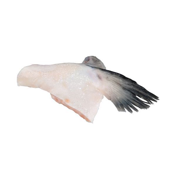 Seafood NZ Salmon Wings (Collars) kg Prices FoodMe