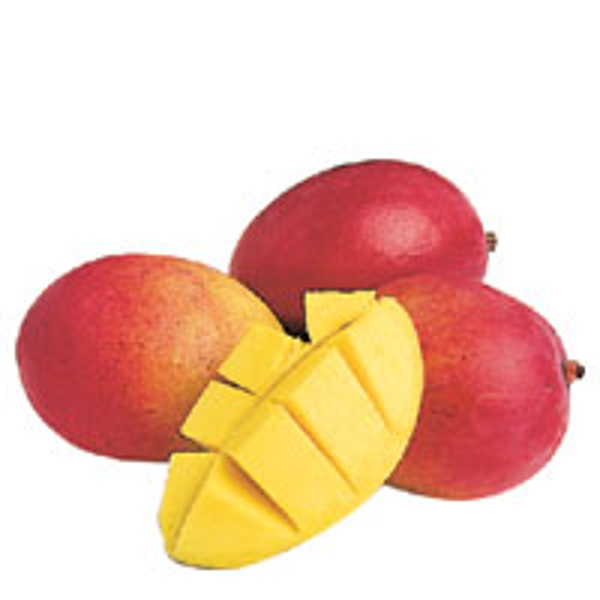 Fresh Produce Mango South America each